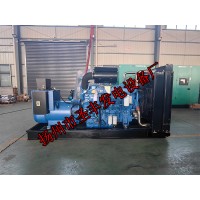 YC6TD840-D31玉柴500KW柴油發(fā)電機組