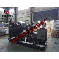 QSL8.9-G30康明斯動力配套300KW柴油發(fā)電機(jī)組