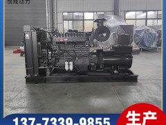 NTA855-G1B重慶康明斯300KW發(fā)電機(jī)組產(chǎn)品視頻解說
